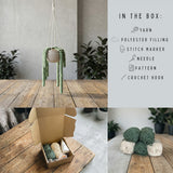 DIY-sett: Hengende plante